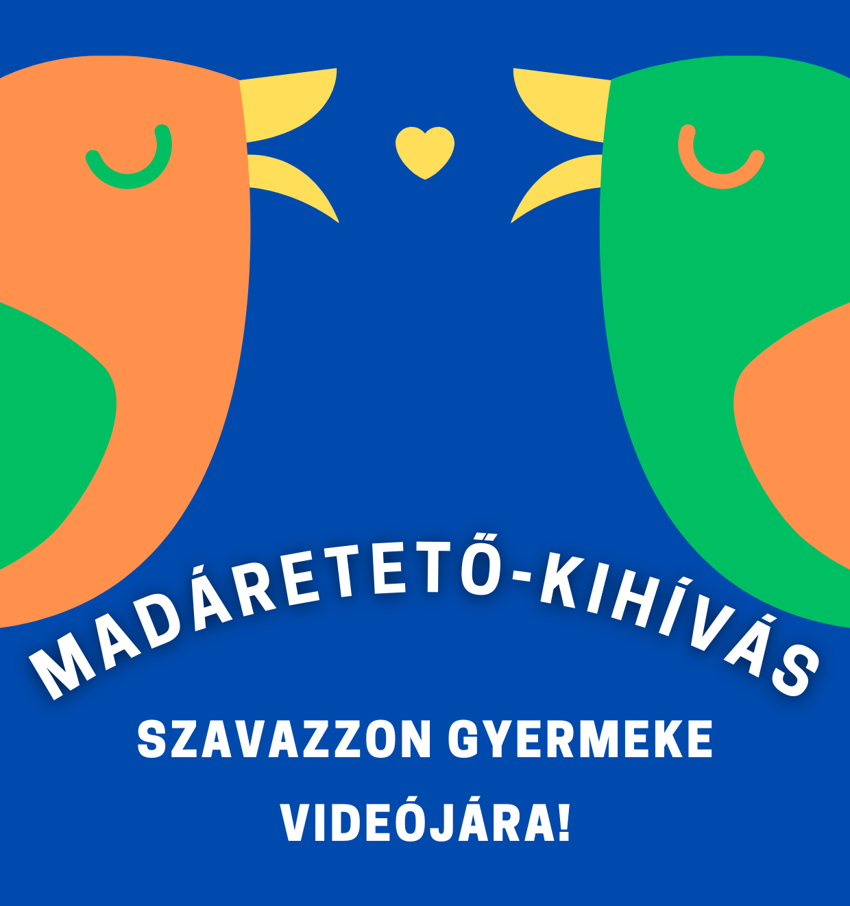 Madáretető kihívás